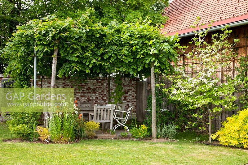 Relaxing area under a canopy of lime trees backed by a brick stone wall. Planting includes Cornus florida, Euphorbia griffithii 'Fireglow', Hesperis matronalis 'Alba', Philadelphus coronarius 'Aureus' and Tilia platyphyllos - Hollberg Gardens 