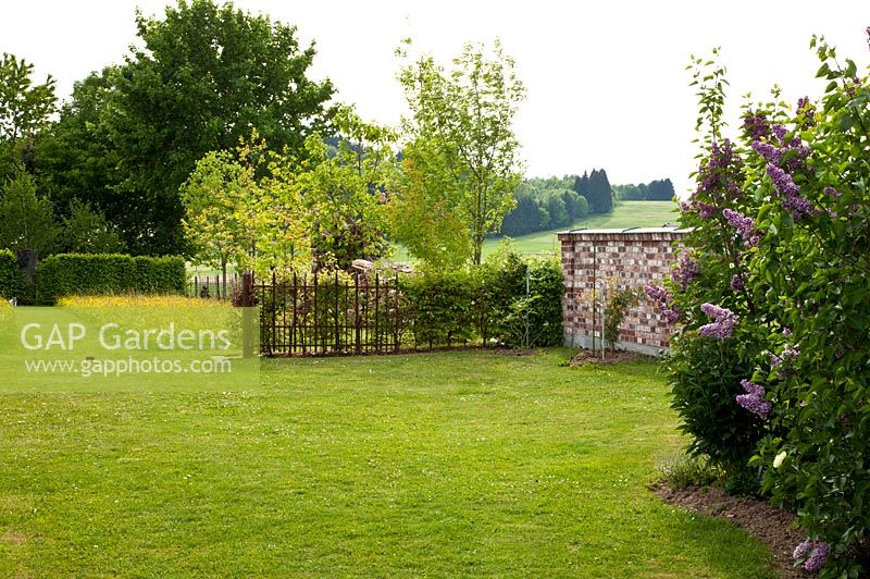 A brick stone wall, iron fence, lawn and formal shaped flower meadow. Planting includes - Syringa vulgaris 'Charles Joly', Syringa vulgaris 'Michael Buchner' and Syringa vulgaris 'Sensation' - Hollberg Gardens 