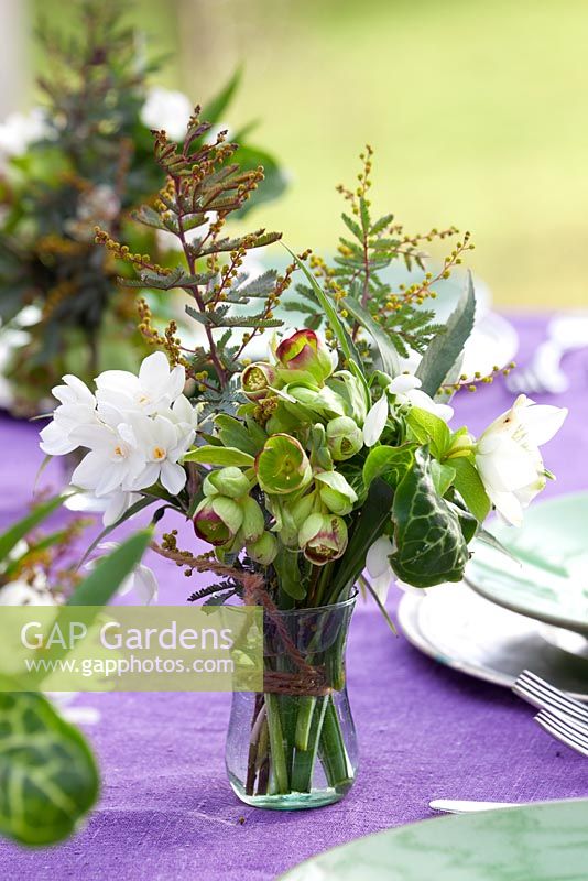 Hand tied winter flower arrangements used as table decoration in small glass vases. Helleborus foetidus Wester Flisk Group, Acacia baileyana purpurea, Galanthus 'Sam Arnott' - snowdrop, paperwhite narcissus and cyclamen foliage