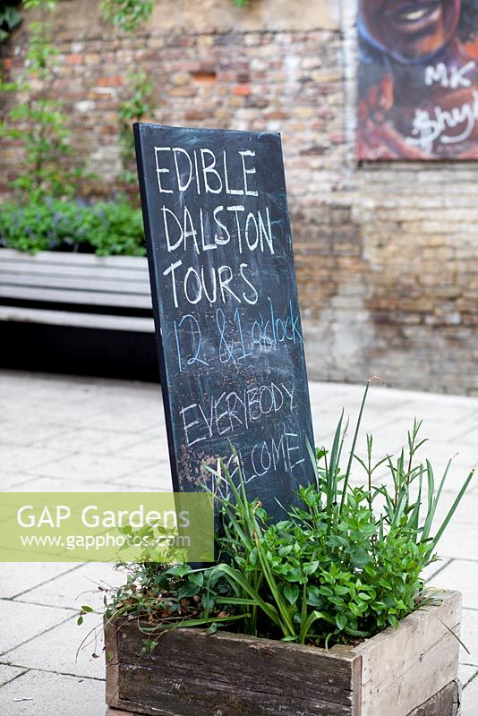 Dalston Eastern Curve Garden -First Chelsea Fringe Festival, London 2012