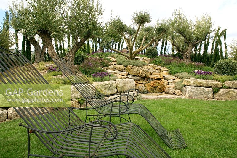 Mediterranean style garden with ancient olive trees, French lavender, water cascade over rocks and drought resistent planting. A Little Bit of Home. Villaggio Verde and Alchemy Gardens. Malvern Spring Show 2012. Silver- Gilt Medal. 