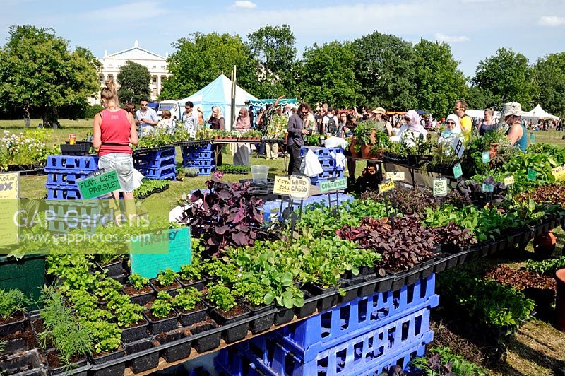 Stall selling herbs at Camden, now London Green Fair, Regent's Park 