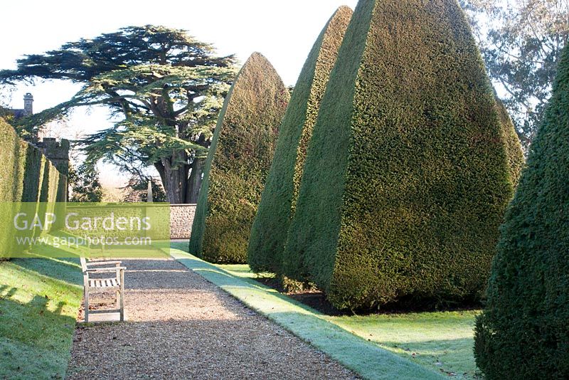 Giant Topiary pyramids in The Great garden
