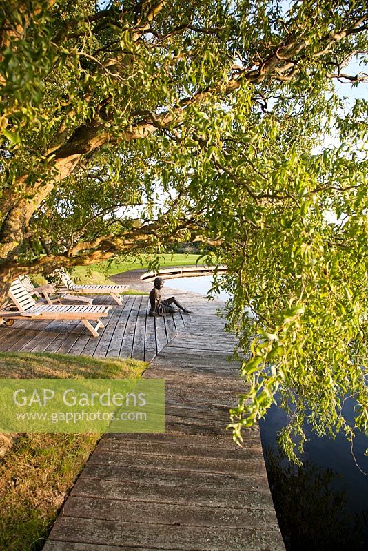 Boardwalk, chairs and sculpture alongside landscaped lake with overhanging Willow in late summer. Statue created by Brian Alabaster
