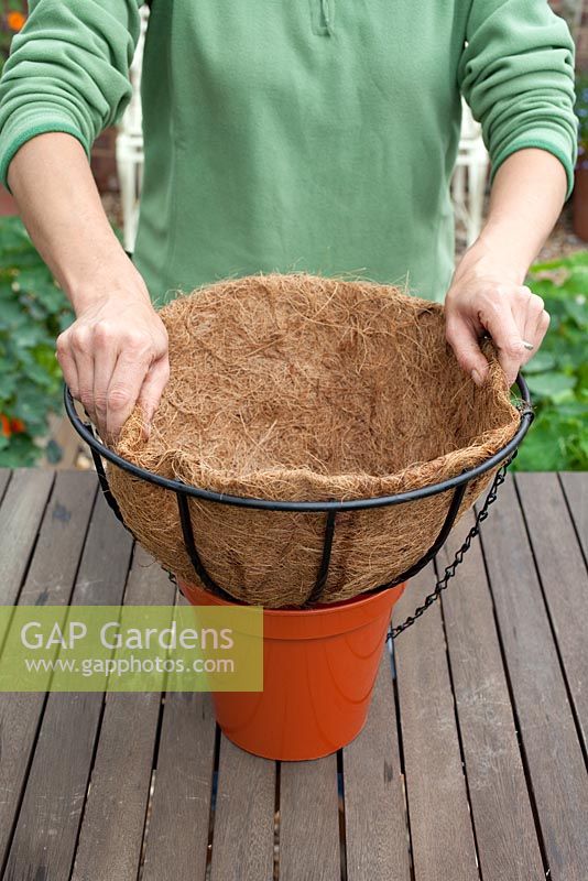 Step-by-step - Planting a shade loving hanging basket