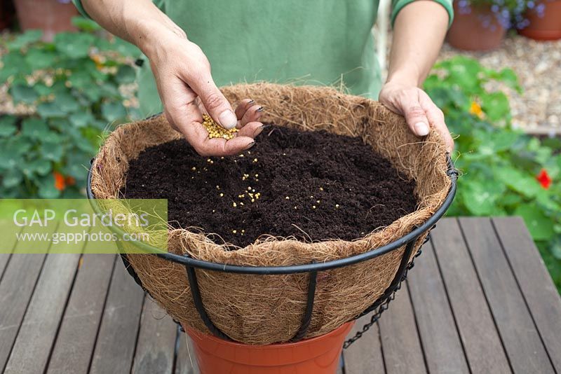 Step-by-step - Planting a shade loving hanging basket