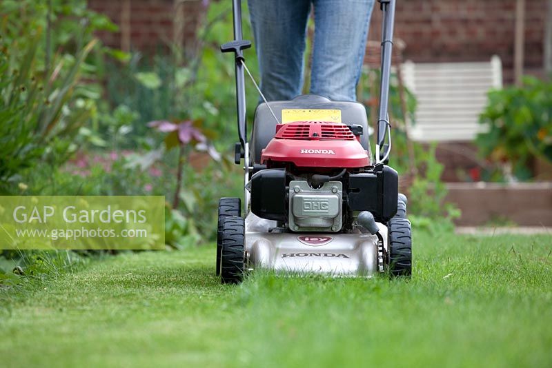 Mowing lawn