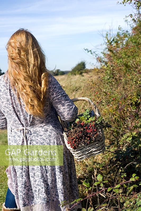 Woman gathering autumn berries in countryside