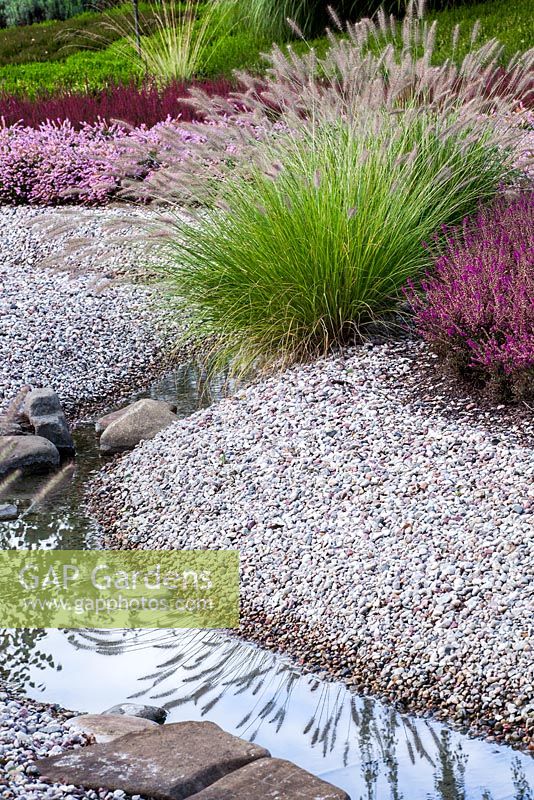Stream winding through gravel garden with Pennisetum alopecuroides and Calluna vulgaris 'Allegro' - Heathers
