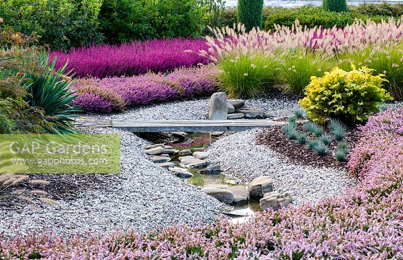 Stream winding through gravel garden with Pennisetum alopecuroides, dwarf conifers and Calluna vulgaris - Heathers 
