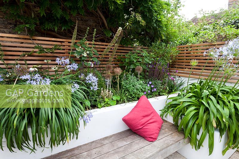 Modern small town garden designed by James Walsh 
