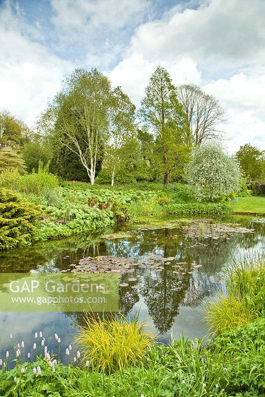 View of pond area surrounded by mature trees and shrubs and water loving plants - Dorothy Clive Garden NGS in late spring, Staffordshire