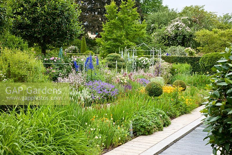 Overview of the garden with perennials against a frame of neatly clipped shrubs and trees and a water canal - Buxus, Delphinium Elatum-Grp, Eschscholzia californica, Geranium, Hemerocallis, Penstemon, Digitalis 'Husker's Red' and Salvia nemorosa 'Adrian' - Germany