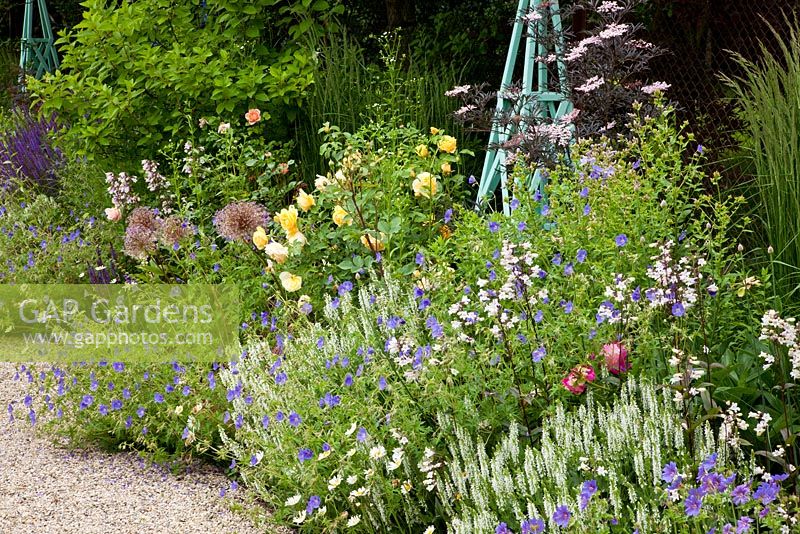 A blue painted obelisk completes the colour scheme of a perennial border with Calamagrostis x acutiflora 'Karl Förster', Campanula lactiflora, Geranium magnificum, Penstemon, Digitalis 'Husker's Red', Salvia nemorosa 'Adrian' and Sambucus nigra 'Black Beauty' - Germany