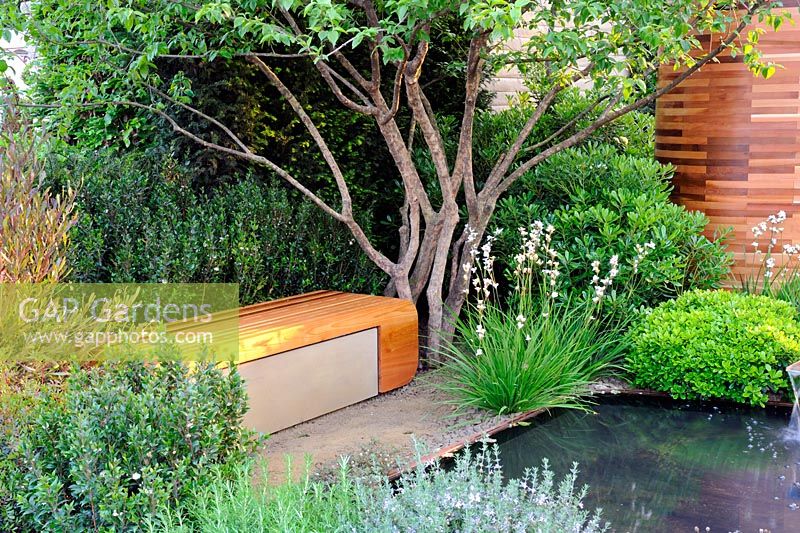 Bench beside Cornus mass - Homebase Teenager Cancer Trust garden, RHS Chelsea Flower show 2012