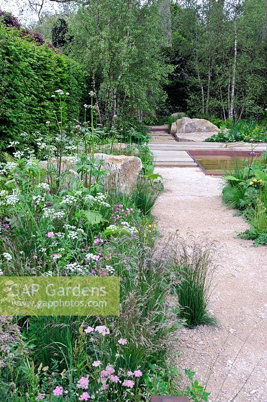 The Telegraph Garden, Gold Medal winner, RHS Chelsea Flower Show 2012 . Crushed limestone path in woodland garden