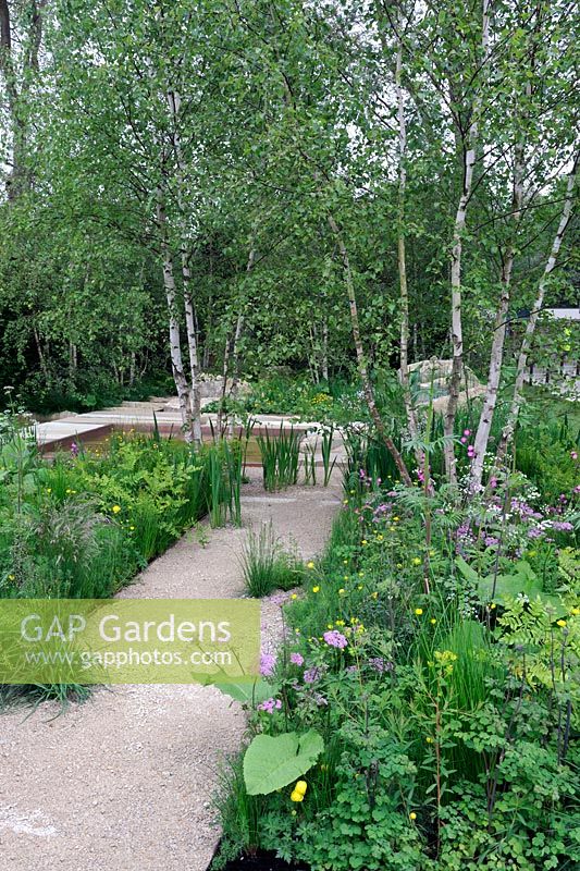 The Telegraph Garden, Gold Medal winner, RHS Chelsea Flower Show 2012 . Crushed limestone path in woodland garden
 
