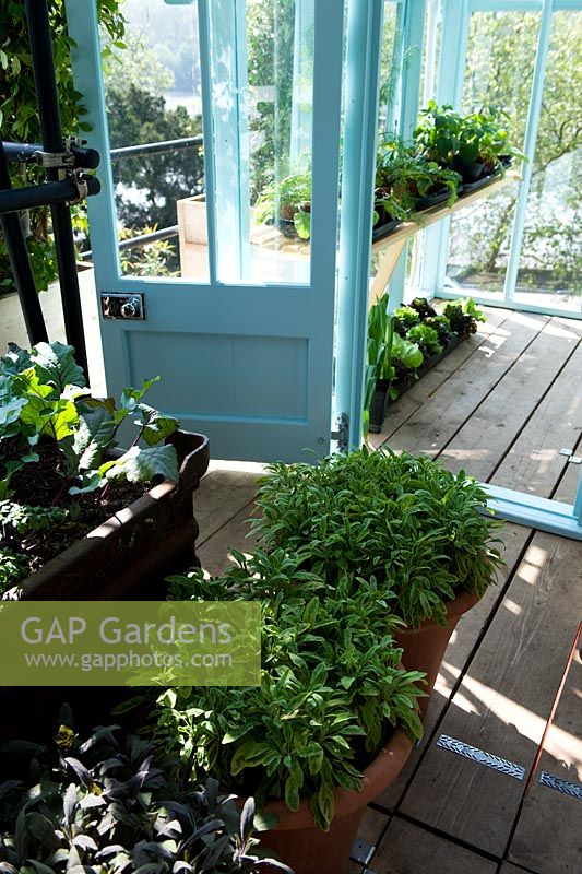 The Westland Magical Garden. Silver Gilt Flora Award RHS Chelsea Flower Show 2012.