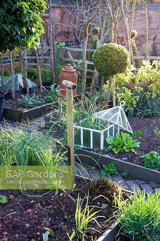 Spring vegetable garden with garden fork