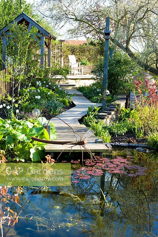 Pond with metal sculpture,decking and path with Narcissus poeticus