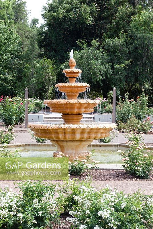 The 4 tiered fountain provides the main focal point in the The Rose Garden at Leu Gardens, Orlando Forida