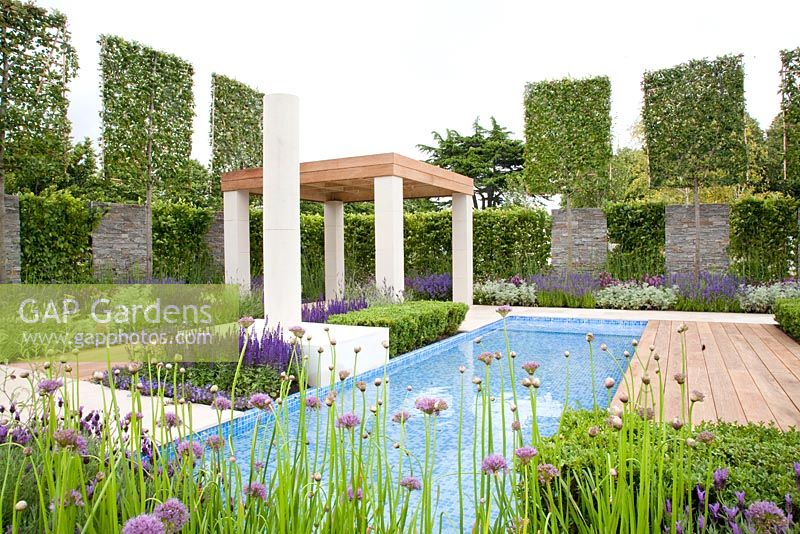 Mediterranean garden with Carpinus betulus and swimming pool
