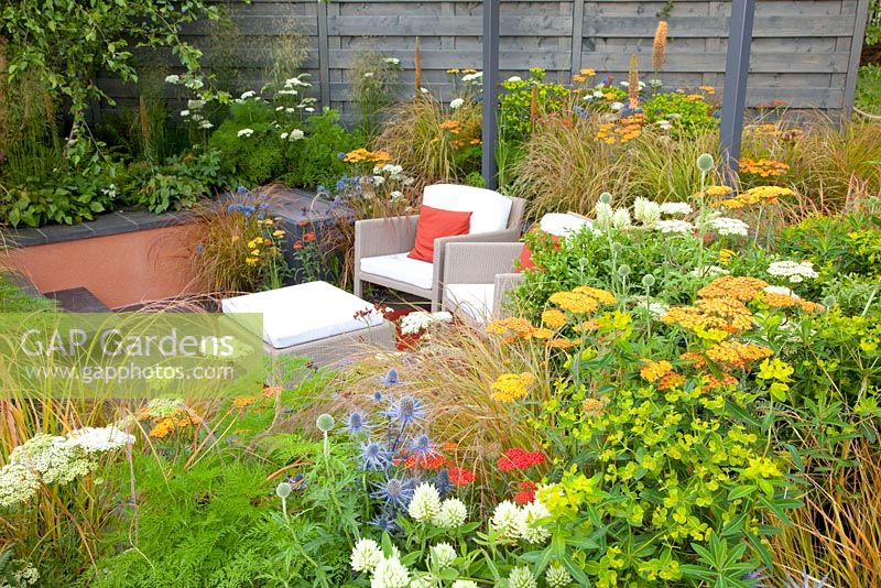 Seating area surrounded by Achillea 'Terracotta', Anemanthele lessoniana, Allium caeruleum 'Azureum', Euphorbia walichii, Eryngium 'Saphire Blue' and Trifolium ochroleucum