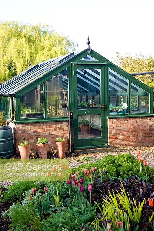 Spring greenhouse with tulips in border