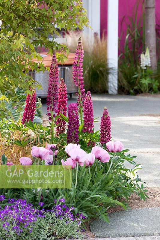 Showgarden at BLOOM 2012 Dublin. Changing Perspectives.