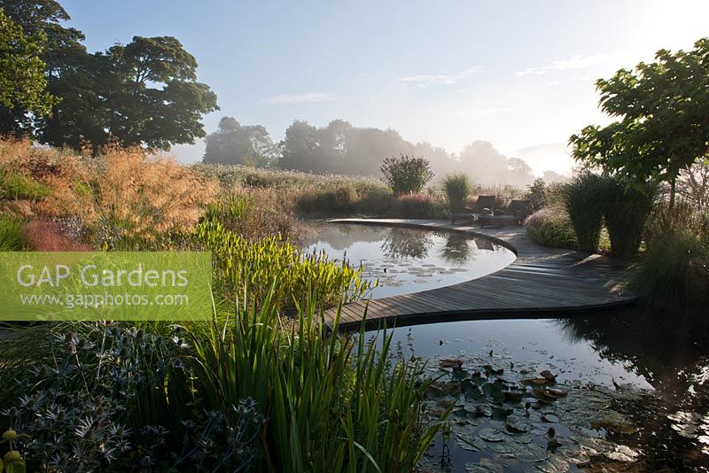 Large informal pond. pond informal contemporary garden designer design Julie Toll curved sinuous summer perennials ornamental grasses morning mist  trees view sun sunny blue sky plant combination South Downs Follerds Manor Sussex United Kingdom sloping wood path bridge