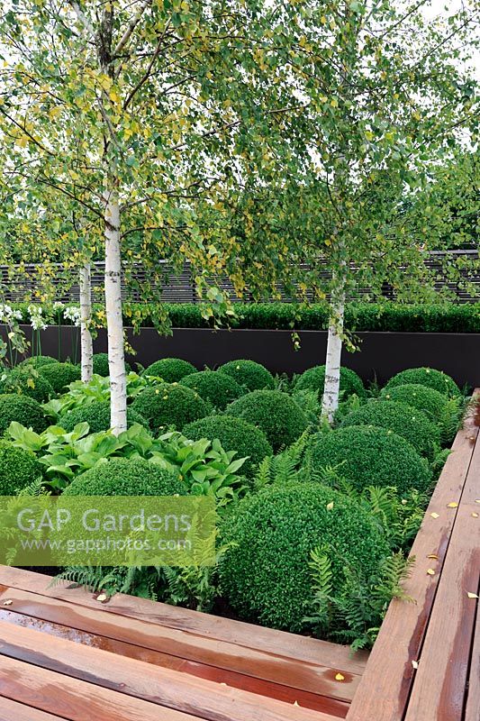 Box topiary in contemporary garden. Contemporary Contemplation, Hampton Court Palace Flower Show 2012
