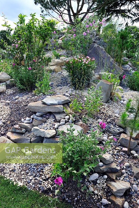 Drought tolerant plants on rocky hill. Discover Jordan Garden, Hampton court Palace Flower Show 2012
