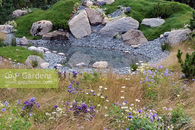 Alpine meadow, water pool and large rocks on a grassy slope - The Swiss Alpine Garden. Hampton Court Palace Flower show 2012
