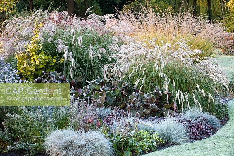 Autumn border with frost at Foggy Bottom, The Bressingham Gardens, Norfolk, UK