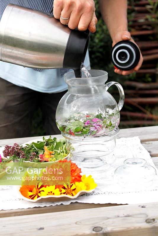Organic flowers suitable for making tea or a salad - Nursery Bloemrijk 
