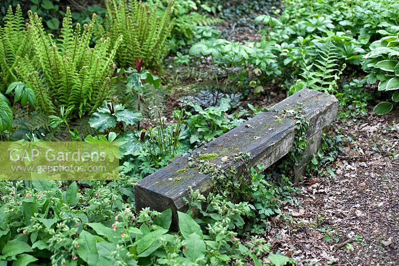 Jessamine Cottage, Kenley, Shropshire