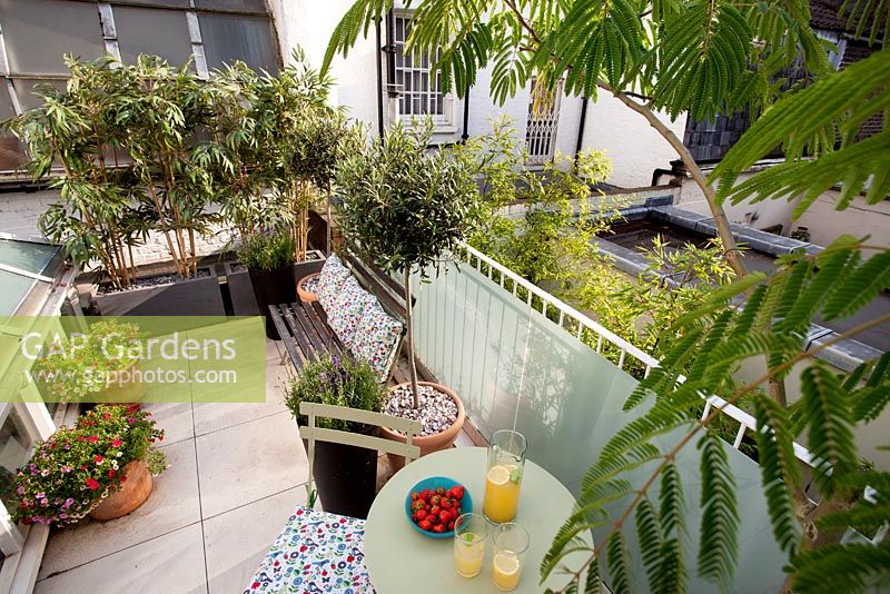 Small London garden with potted plants seating