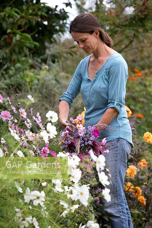 Step by step - Making arrangement from freshly cut flowers including Cosmos 'Gazebo White' and 'Sweet Sixteen' 