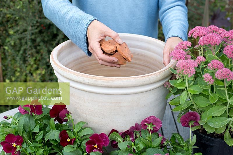 Step by step Pink autumn container with Sedum 'Autumn Joy' and Viola 'Matrix'