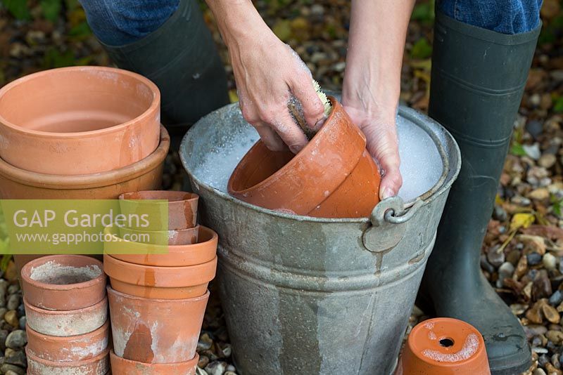 Washing pots to sterilise for following year