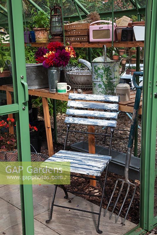 Interior of greenhouse with vintage tools, radio, hurricane lamp, chair and galvanised bucket of Dahlias. 