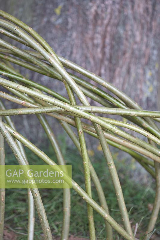 Low twisted willow fence detail. Hampton Court Flower Show 2012.