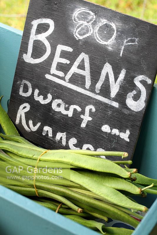 Runner beans for sale on driveway stall leading up to Annabels Egg Shed - Cavick House Farm, Norfolk