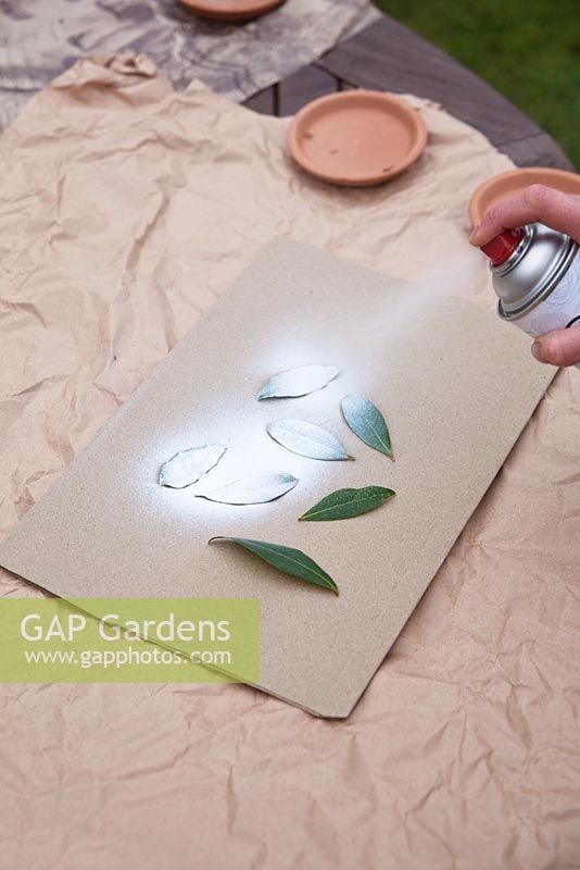 Step by step - spraying bay leaves to create labels for moss parcels