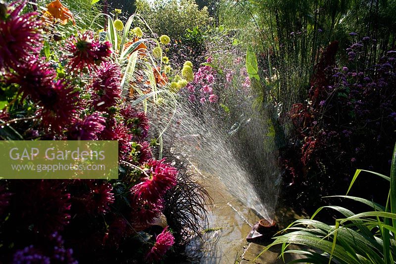 Water sprinkler in the exotic garden at Great Dixter