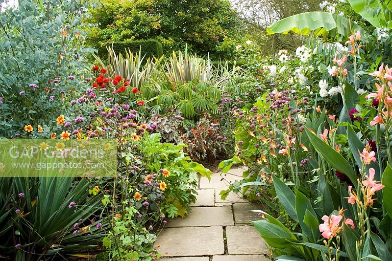 The exotic garden at Great Dixter. Planting includes Begonia 'Little Brother Montgomery', Begonia luxurians, Phormium 'Sundowner', Dahlia 'Wittemans Superba', Eucalyptus gunnii and Verbena bonariensis