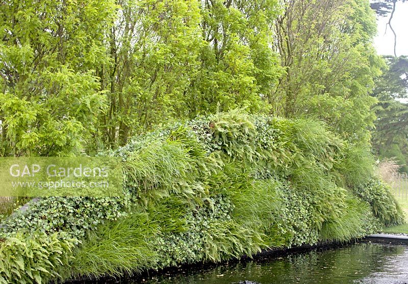 'Bridge Over Troubled Water' - Gold medal winner and Best Show Garden - RHS Hampton Court Flower Show 2012