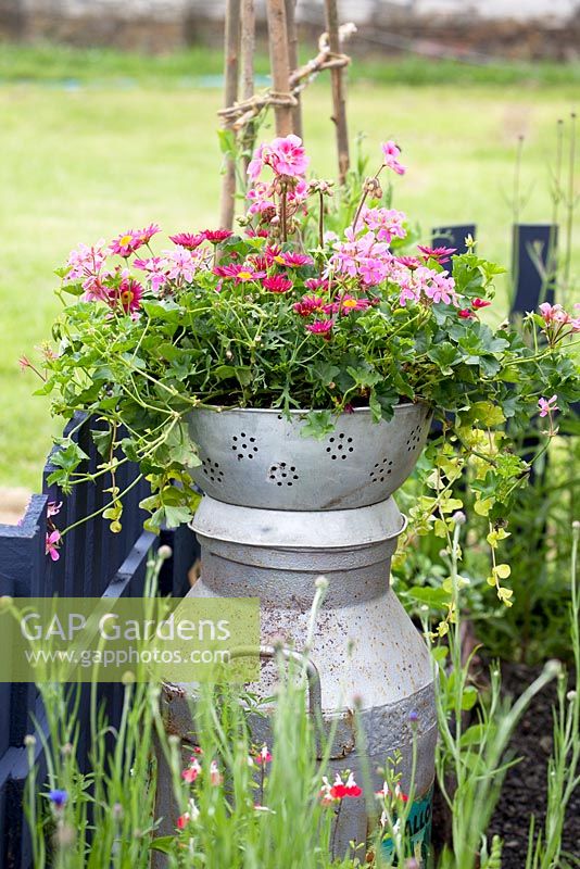 Strainer on milkcan filled with pink flowers. Preserving the Community - Silver medal winner - RHS Hampton Court Flower Show 2012.