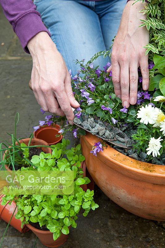 Lady topping up planted container with stone chippings