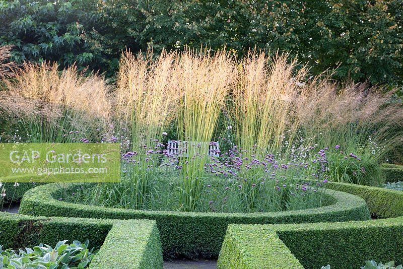 Molinia arundinacea 'Transparent' and Molinia arundinacea 'Skyracer'